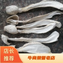 鸡腿菇，福建古田食用菌之都，食用菌批发市场