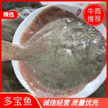 【推荐】多宝鱼，产地直发，质量保证，全国发货，欢迎进店联系