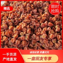 广西桂林吊柿饼，货源充足，质量保证，产地直发，诚信经营