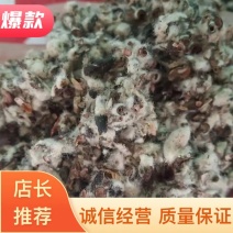 厂家直发棉子壳食用菌棉子壳，种蘑菇用棉子壳