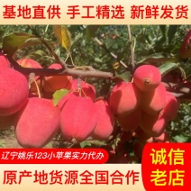 辽宁鸡心果小苹果海棠果大量供货一条龙服务视频看货