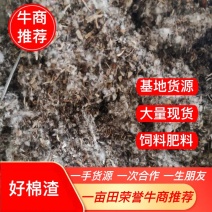 【精品推荐】好棉渣籽成本低营养成分高保水锁水力强饲料肥料