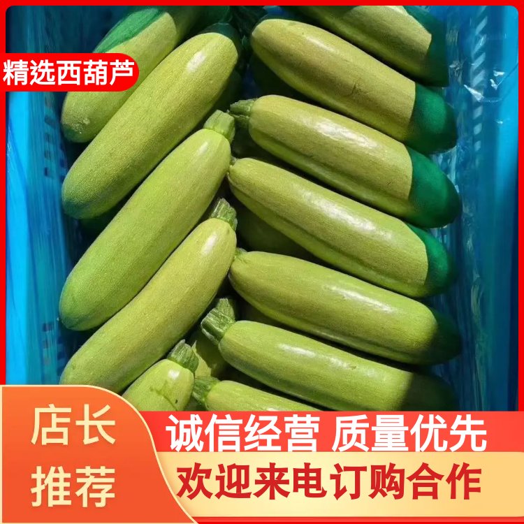 [绿皮西葫芦批发]江苏连云港灌云县西葫芦 0.20元/斤精品西葫 _ 一亩田