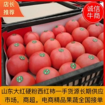 硬粉西红柿山东本地一手货源酸甜可口商超市场长期供应