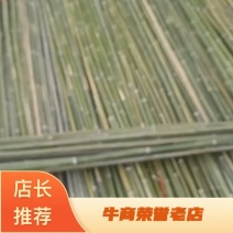 5米竹竿，节短，璧厚，山头一手货源，价格优惠。