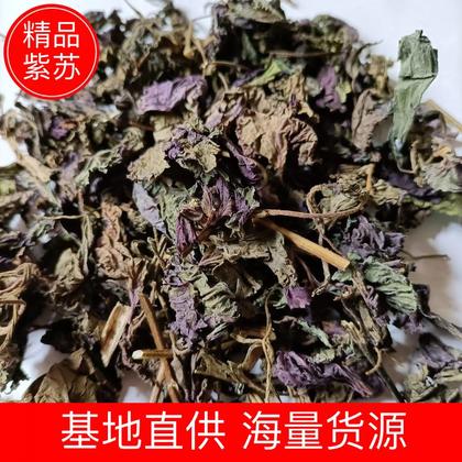 云南丽江古城区紫苏叶价格行情走势 