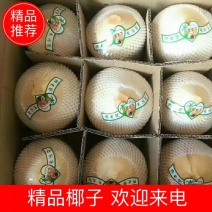 【年货节】海南椰子，香甜汁多，批发量大从优，可视频看