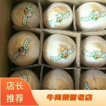 【精选】海南文昌优质椰子，椰汁清甜整车批发诚信实力代办