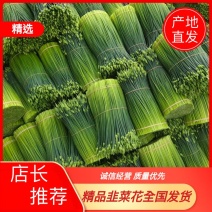 【推荐】广东韭菜花全国各地发货基地一手货源欢迎来电