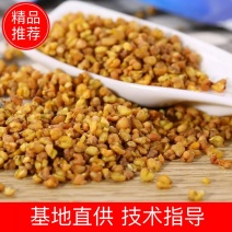 苦荞茶荞麦茶大货和图不一样退货包邮费中药材批发零售