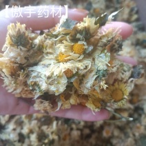【傲宇药材】菊花七月菊一箱十公斤诚信药材