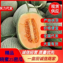 民勤蜜瓜晓蜜25哈密瓜小蜜25大量供货全国批发质量保证