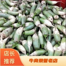 万亩基地，沙地萝卜，产地直供。可以按要求包装，诚信经营。