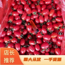 圣女果