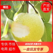 雪花梨云南雪花梨脆甜多汁产区直供保质保量诚信经营