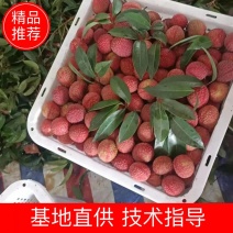 【全站推荐】荔枝大量上市，支持电商一件代发
