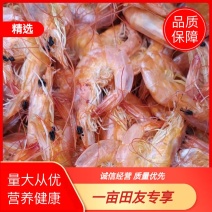 虾干虾烤干虾品质保障营养健康一手货源量大从优