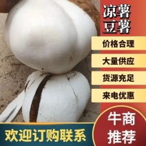 【高品质】豆薯/凉薯皮薄脆甜多汁好剥皮耐储藏耐运输规格全