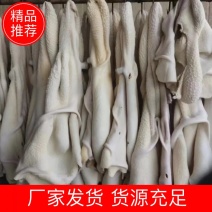 半shu牛肚厂家发货货源充足欢迎咨询