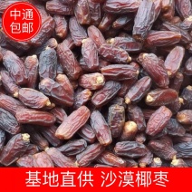 （包邮）沙漠椰枣，新疆乌鲁木齐发货，中通包邮