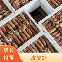 皮皮虾