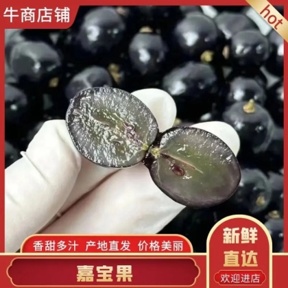 嘉宝果价格行情