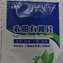 重楼专用量大从优重楼七叶一枝花
