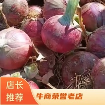 鲜红皮洋葱冷库洋产地直供，质量有保障，个头大形状好颜色亮
