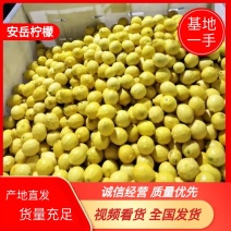 安岳柠檬新果，基地直发，一手货源。量大从优，欢迎采购下单