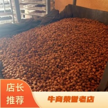 正宗新疆杏干量大供应产地直发可视频看货