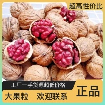 密封包装核桃长期供应批发包邮