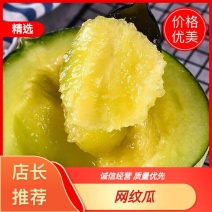 [牛]网纹瓜整年发货对接电商社区团购商超一件代发等
