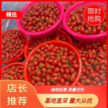 千禧圣女果小番茄大量上市整车发货了对接市场电商团购