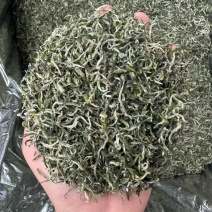 【绿茶】石阡苔茶产地直销保质保量价格优惠欢迎咨询