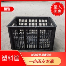 黑色塑料筐蔬菜筐水果筐葡萄筐鸭蛋筐蘑菇筐鸡蛋筐白色塑料筐