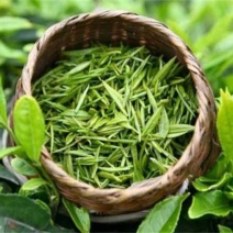 石阡苔茶，精品茶叶基地直销保质保量价格优惠一手货源