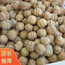 河北邯郸棉核桃产地直发量大从优诚信合作欢迎来电咨询