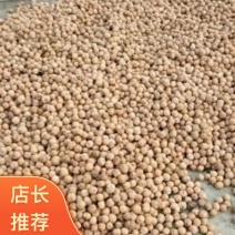 [牛]河北邯郸薄皮核桃個大饱满诚信合作量大从优欢迎来电