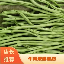 甘肃豆角源自于陇上江南可视频看货
