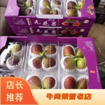 无花果新鲜采摘口感好全年供货空运直达价格优惠欢迎老板来电