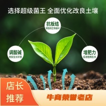 广东土壤改良剂，含多种共生有益菌，增肥力，欢迎咨询