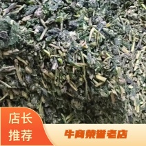 河南精品速冻蒲公英，品质精品，量大价优新鲜采摘加工速冻