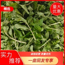 枸杞芽大量有货，对接全国市场电商平台，欢迎合作