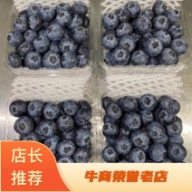 [牛]山东蓝莓规格齐全货源充足全国代发欢迎致电