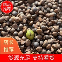 安徽野生茶油籽颗粒均匀干品无杂质产地直发出油率高