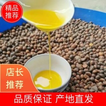 安徽一手货源山茶油对接全国市场量大从优质量好走货快欢迎询