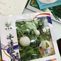 冰清玉茹（正圆型）早熟成熟果肉淡绿色肉厚腔小单瓜3.5公