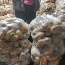 黄皮黄心土豆山东聊城全国发货可视频看货山东万亩果蔬