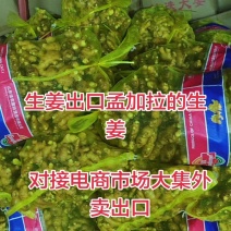 山东出口生姜基地，专业做出口贸易中东/欧美/俄罗斯