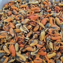 淡菜干度好，鲜度佳，质量上乘。